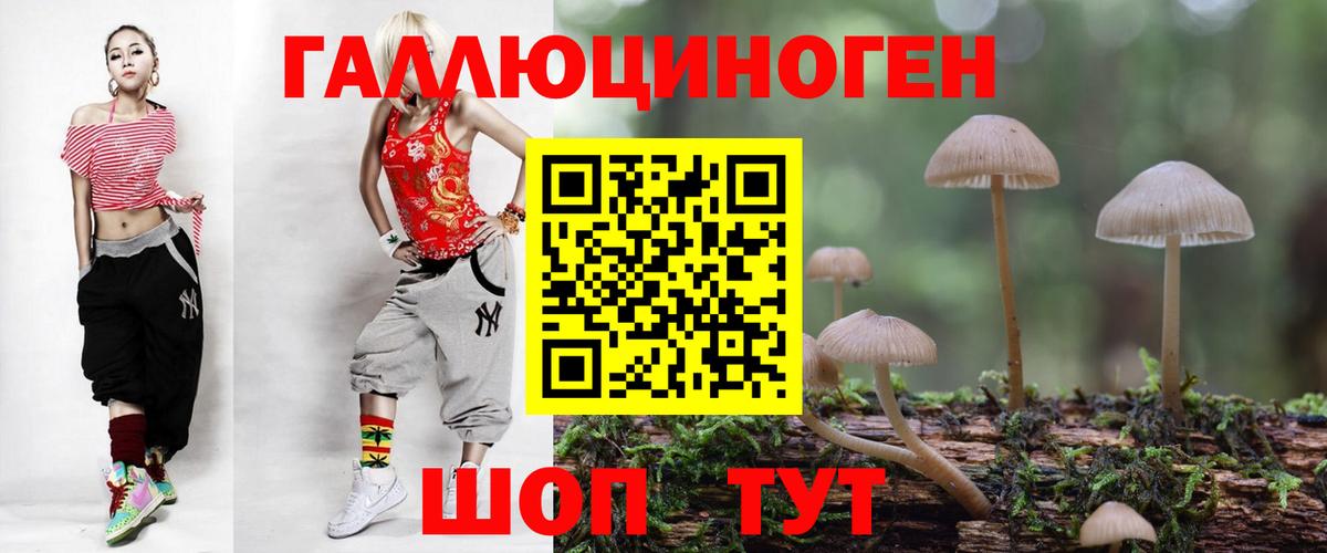 Псилоцибиновые грибы Cubensis  Псилоцибиновые грибы Psilocybine cubensis  Острогожск  Вход с VPN 