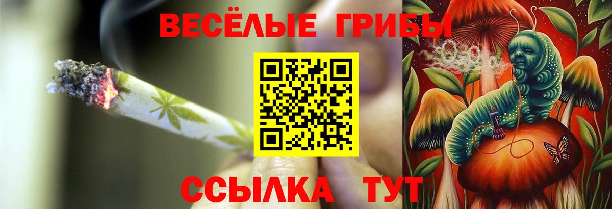 Галлюциногенные грибы мицелий Острогожск